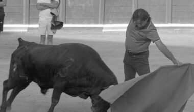 Raúl Alonso, toreando al natural en la Fuente de Vino celebrada en la plaza de toros de Toro.