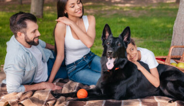 Alerta contra la rabia: protege a tu familia y mascotas