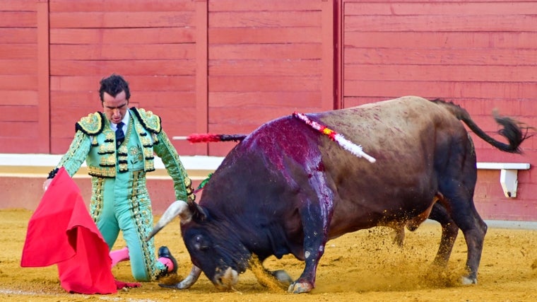 El Fandi, arrodillado ante uno de sus toros