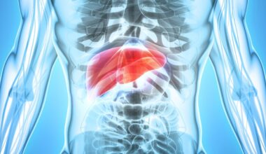 Una investigación del CSIC propone una nueva vía para tratar un cáncer de hígado muy agresivo