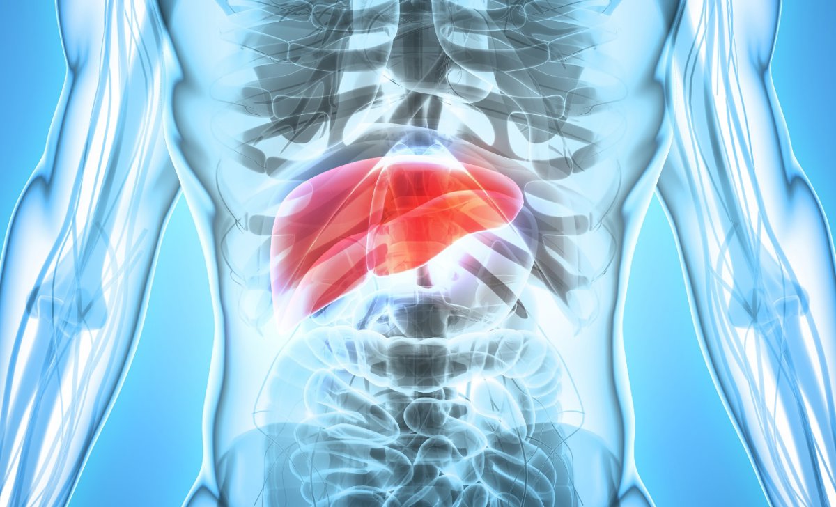 Una investigación del CSIC propone una nueva vía para tratar un cáncer de hígado muy agresivo