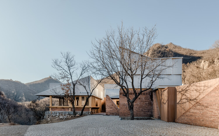 Terraza llena de castaños / Wonder Architects - Fotografía exterior