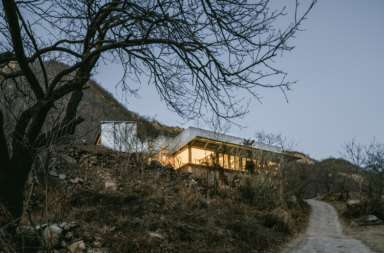Terraza llena de castaños / Wonder Architects - Fotografía exterior