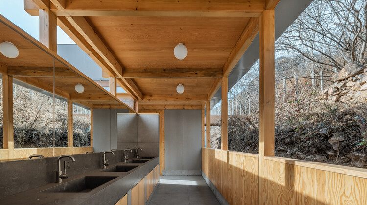 Terraza llena de castaños / Wonder Architects - Fotografía interior, Cocina, Madera