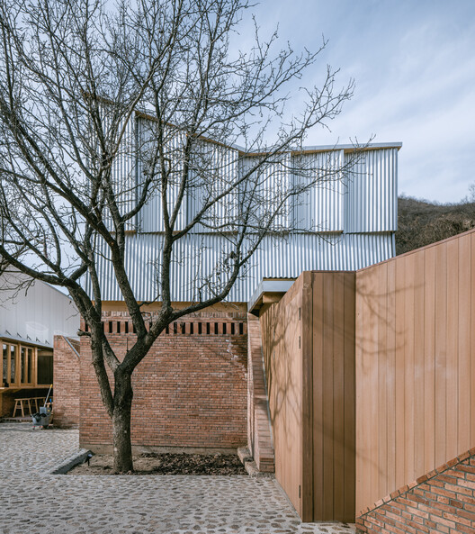 Terraza llena de castaños / Wonder Architects - Fotografía exterior, Madera
