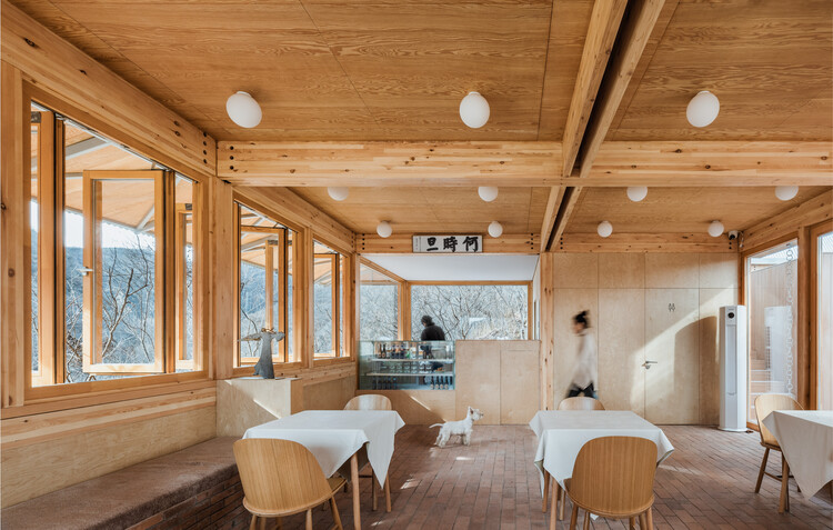 Terraza llena de castaños / Wonder Architects - Fotografía interior, Madera