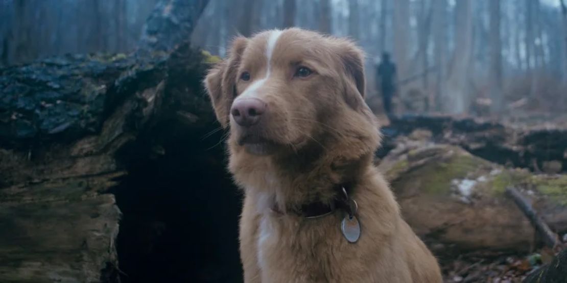 Imagen de la película “Good Boy”.