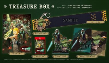 Hyrule Warriors: La era del destierro contará con esta edición especial en Japón