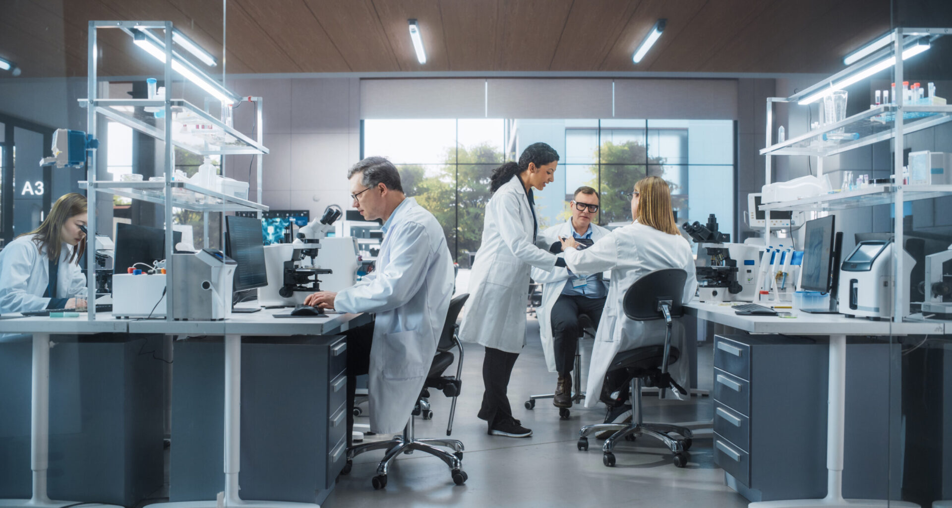 Convocatoria de Ayudas a la Investigación EME-REEM 2025: Ya puedes acceder a ella