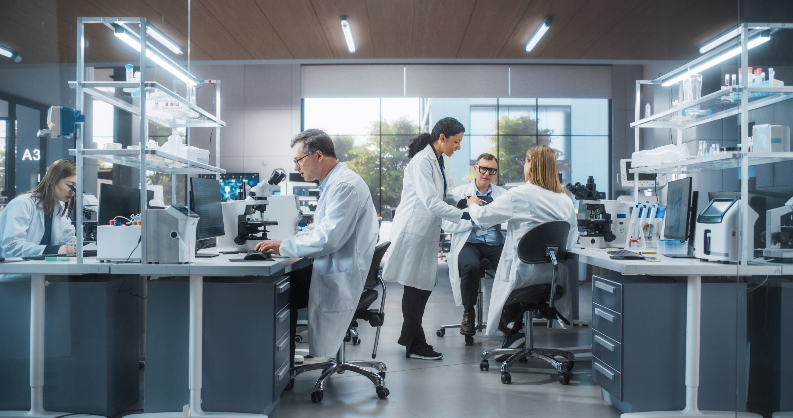Convocatoria de Ayudas a la Investigación EME-REEM 2025: Ya puedes acceder a ella