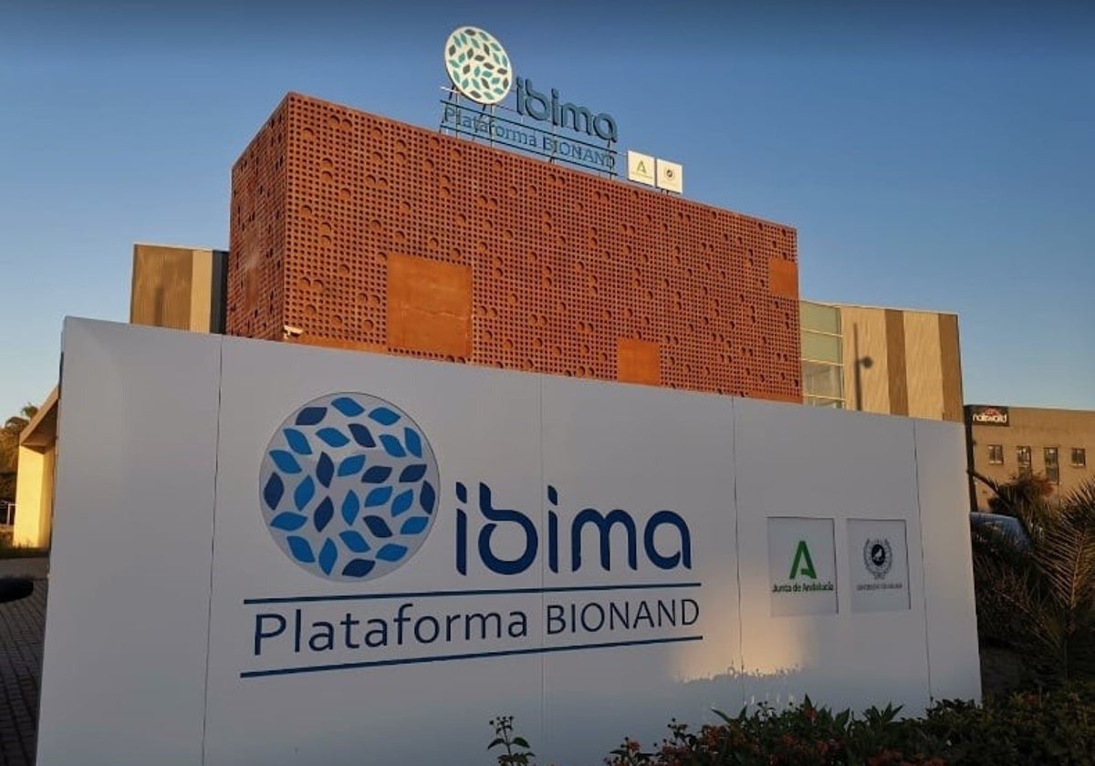 Investigadores de Málaga desarrollan una IA capaz de detectar con gran precisión obstrucciones arteriales