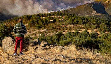 El incendio de Guadalajara entra en Segovia y fuerza a desalojar Riofrío de Riaza y La Pinilla
