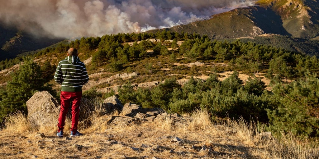 El incendio de Guadalajara entra en Segovia y fuerza a desalojar Riofrío de Riaza y La Pinilla