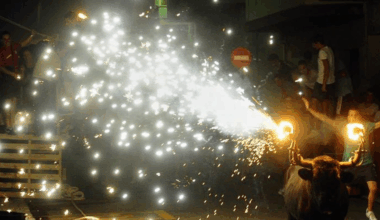 La fiesta del toro en la calle