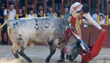 Pundonor de la terna maña en Arganda del Rey