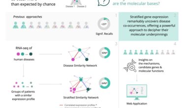 Mapa molecular revela conexiones previamente ocultas entre enfermedades - diagnostico-molecular