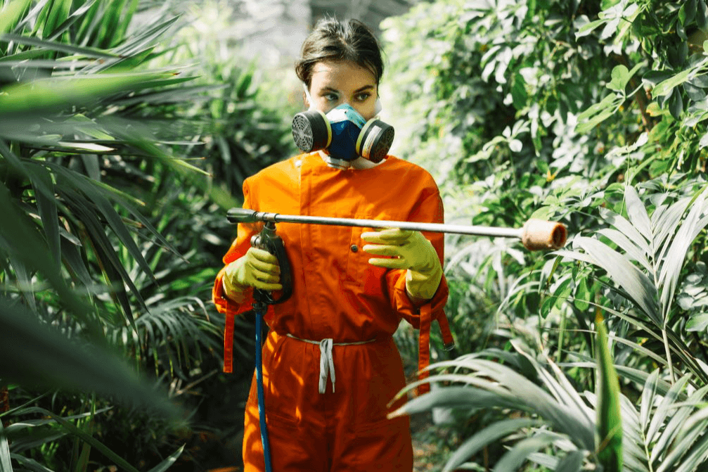 Constatan el riesgo de fungicidas para la salud esparcidos en los alimentos el agua y en el organismo humano