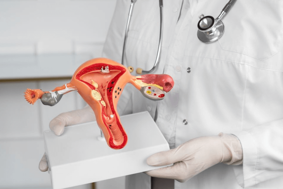 Ofrecen pistas relevantes sobre el panorama cambiante del cáncer de ovario