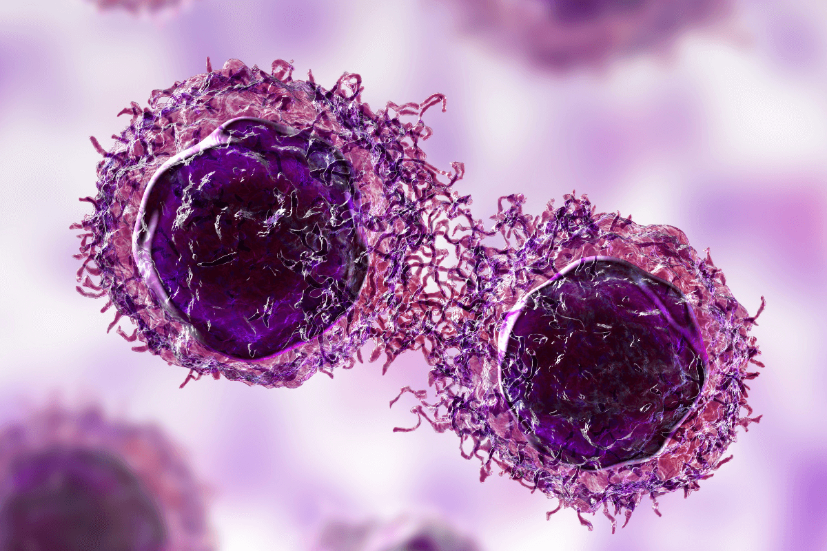 Pirotinib y oxaliplatino reducen la carga tumoral en un modelo de cáncer gástrico