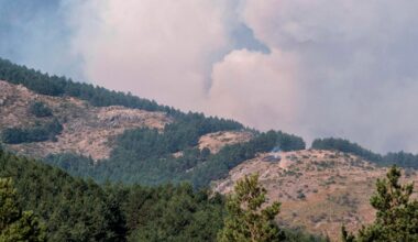 Estabilizado en la parte que afecta a Segovia el incendio de Peñalba de la Sierra