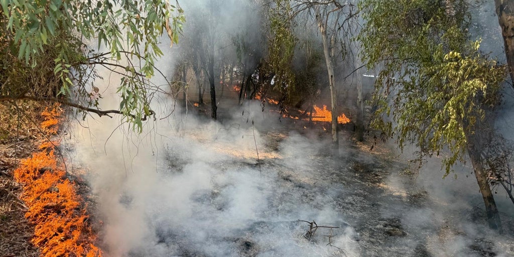 Sale ardiendo la arboleda junto al auditorio Rocío Jurado de la Cartuja