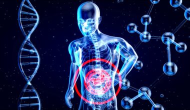 Macroestudio internacional señala al intestino como clave en la prevención del alzhéimer y párkinson