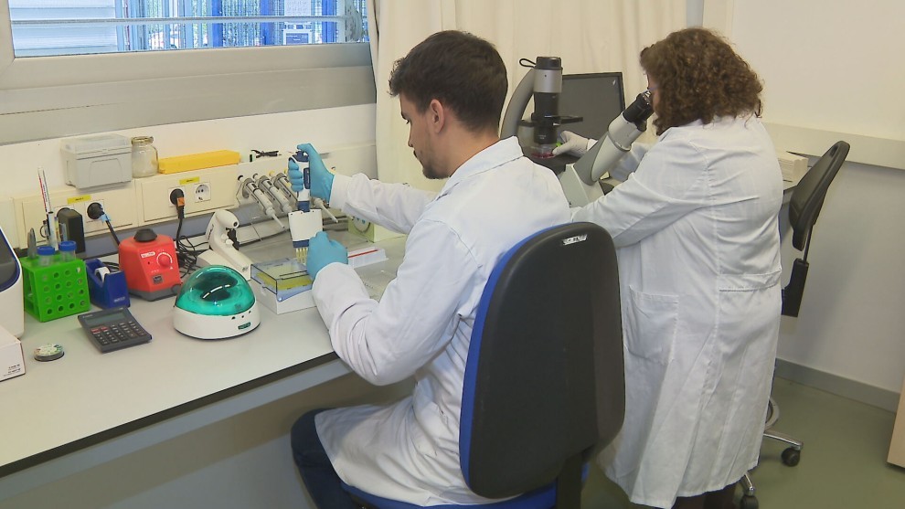 Cerca de 1.000 nuevos casos de cáncer de pulmón se diagnostican cada año en Aragón | Noticias