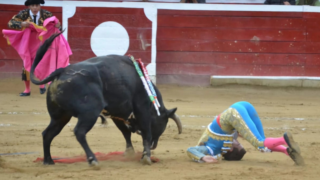 así es la frenética actividad de la enfermería taurina en septiembre