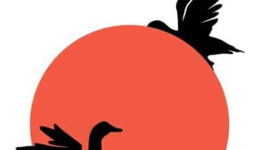 Eres una herida, existes | Letras Libres