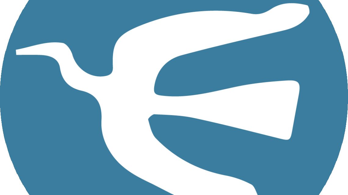 Volver a Mumford | Perfil