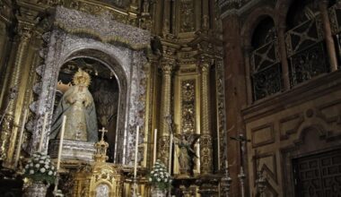«Cualquier forma de vida ha sido eliminada definitivamente»