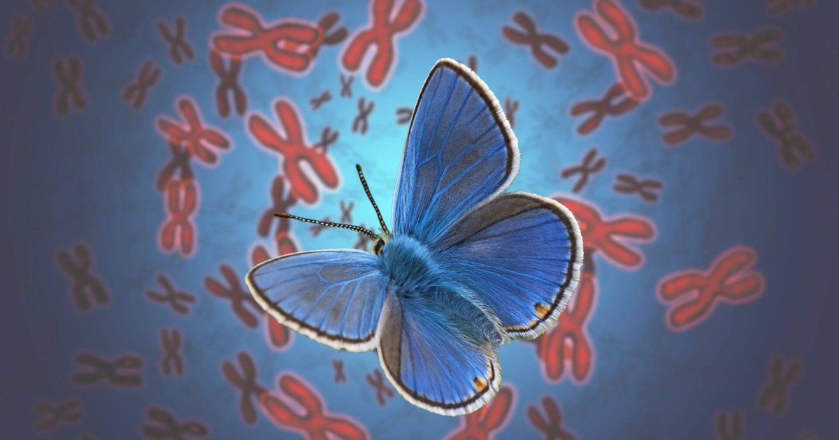 una rareza genética sin precedentes que bate un récord animal