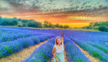 Estos son los ganadores de la votación popular del certamen fotográfico 'Guadalajara Paisajes de Lavanda' | NuevaAlcarria