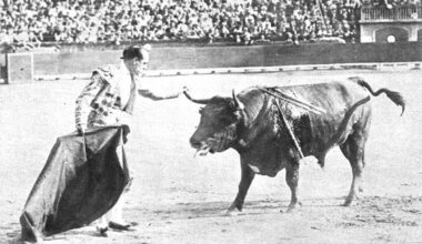 Cuando Sánchez Mejías reinó en las fiestas de Valladolid