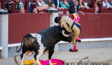 'Gerpe y Partido de Resina, de sevillanas maneras en Madrid' - Por el piton derecho