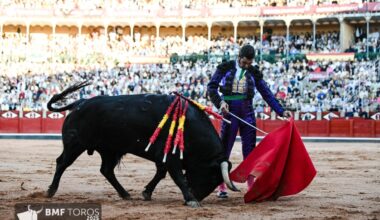 Morante más de un mes después: "Esperando la paradita"