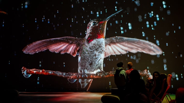 Visitantes, en la experiencia inmersiva 'Somos naturaleza'