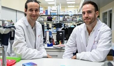 Método basado en metilación del ADN predice progresión del cáncer - diagnostico-molecular