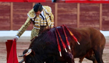 Puerta Grande para Juan Ortega en Colmenar Viejo tras una faena de categoría