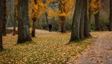 10 rincones de Soria para fotografiar el otoño
