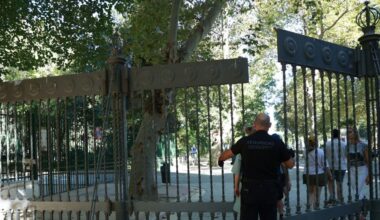 El Parque de María Luisa de Sevilla vuelve a abrir sus puertas tras el brote de gripe aviar