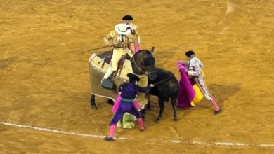 Lo de Morante (con Roca) va a colear