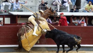 La masacre de un toro bravo y la resurrección de un hierro