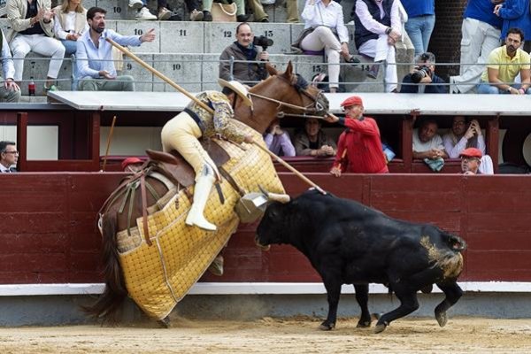 La masacre de un toro bravo y la resurrección de un hierro