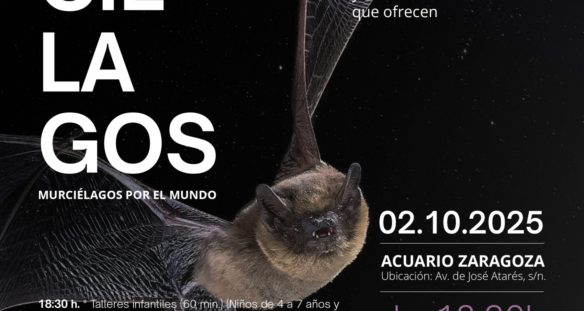 Pulsa para ver la imagen en grande