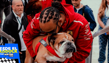 5 momentos divertidos de Roscoe Hamilton en el Paddock de la Fórmula 1