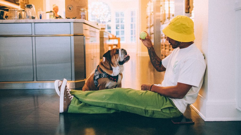 Lewis Hamilton y Roscoe