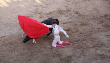 Rubén Vara, gran triunfador en la novillada de Pareja del certamen Guadalajara busca torero