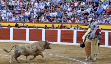 Septiembre, mes de ferias y futuro del toreo