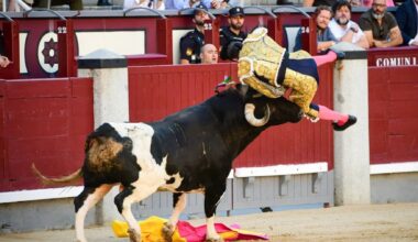 El torero Serafín Marín en estado grave tras sufrir una cornada de 30 centímetros en Las Ventas